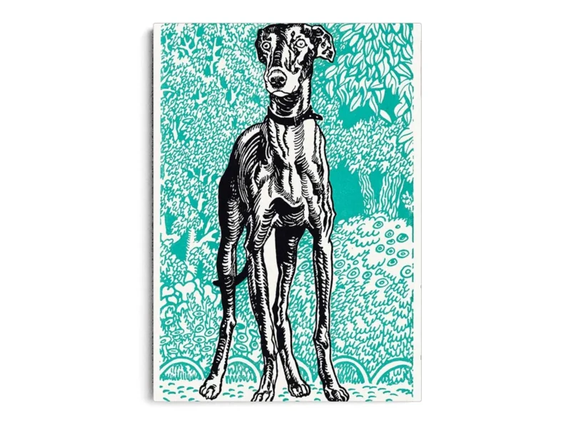 Arte Perro Galgo con Fondo Turquesa