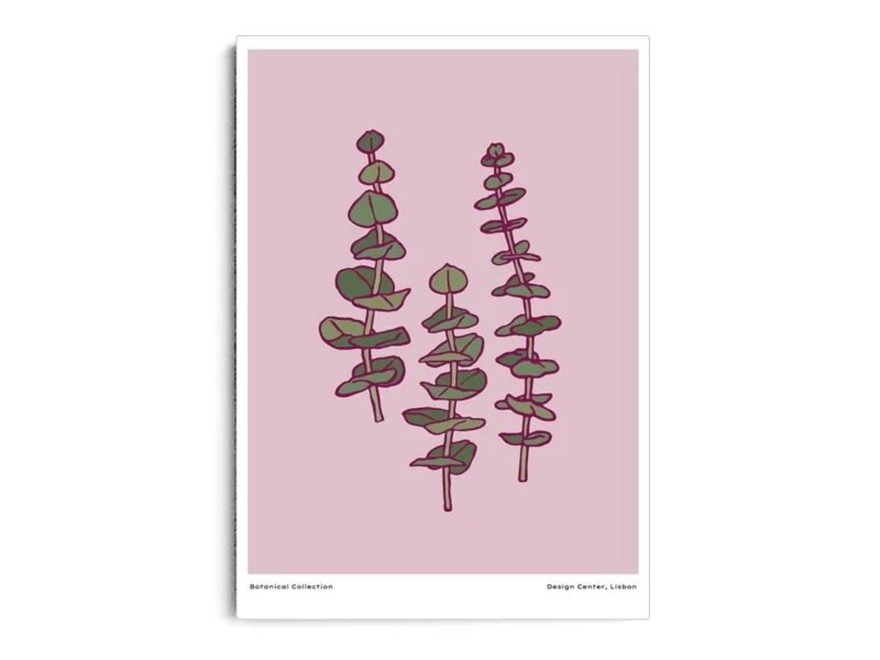 Arte Ilustración Plantas Acuáticas Minimalistas con Fondo Rosa