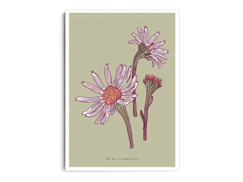 Arte Ilustración Margaritas Minimalistas con Fondo Verde