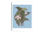 Arte Ilustración Minimalista Orquídea Blanca Floreciendo