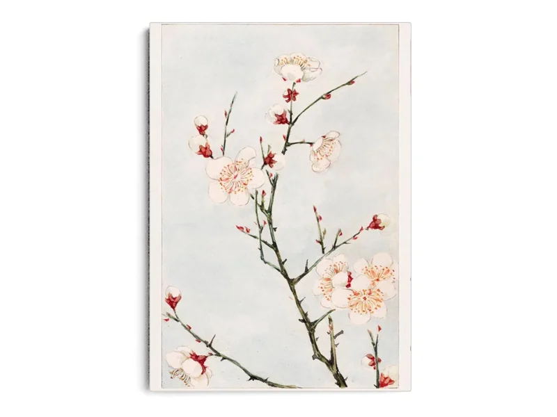 Arte Ilustración Japonesa Ramas Verdes con Flores Blancas y Rojas