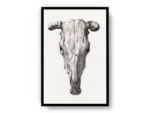 Arte Cráneo de Toro Minimalista