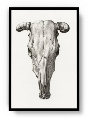 Arte Cráneo de Toro Minimalista