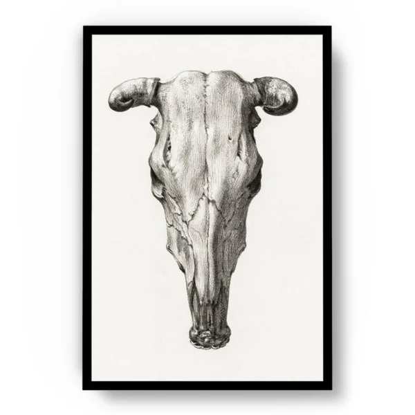 Arte Cráneo de Toro Minimalista