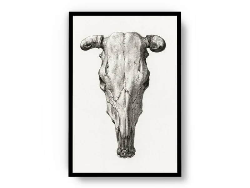 Arte Cráneo de Toro Minimalista