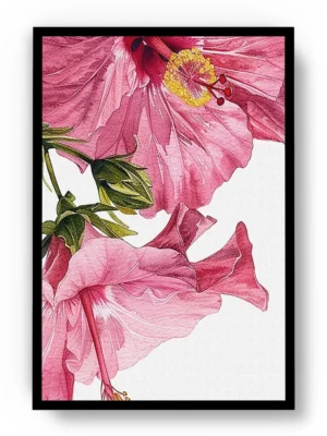 Arte Dibujo Orquideas Rosadas