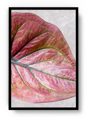 Arte Dibujo Closeup Hoja con Tonos Rosa