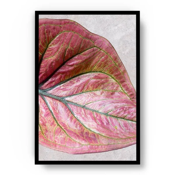 Arte Dibujo Closeup Hoja con Tonos Rosa