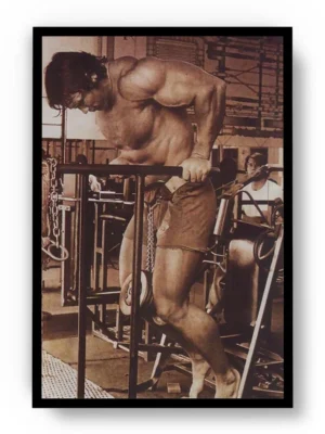 Poster Sepia Arnold Schwarzenegger Fondos en Paralelas