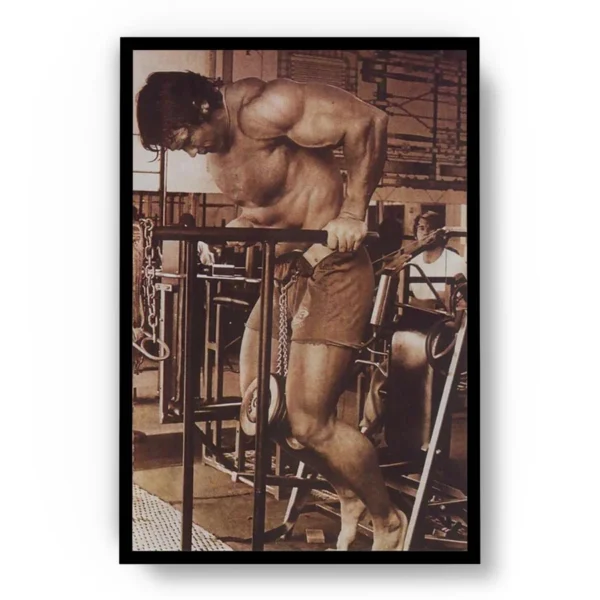 Poster Sepia Arnold Schwarzenegger Fondos en Paralelas
