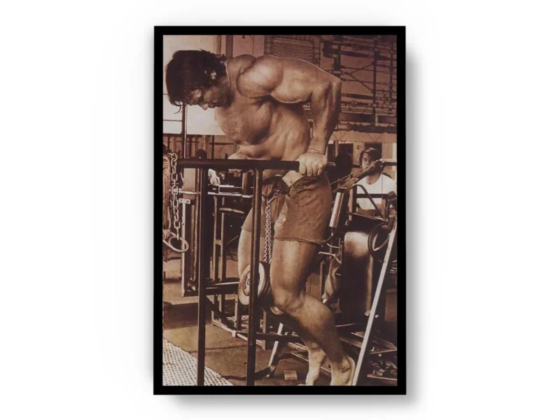 Poster Sepia Arnold Schwarzenegger Fondos en Paralelas
