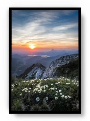 Póster Fotografía Paisaje Vista a Montañas desde Campo con Flores