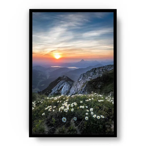 Póster Fotografía Paisaje Vista a Montañas desde Campo con Flores