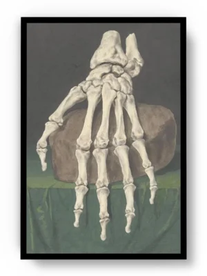 Arte Obra Skelet Van Een Hand de Jan I Admiral