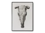 Arte Cráneo de Toro Minimalista