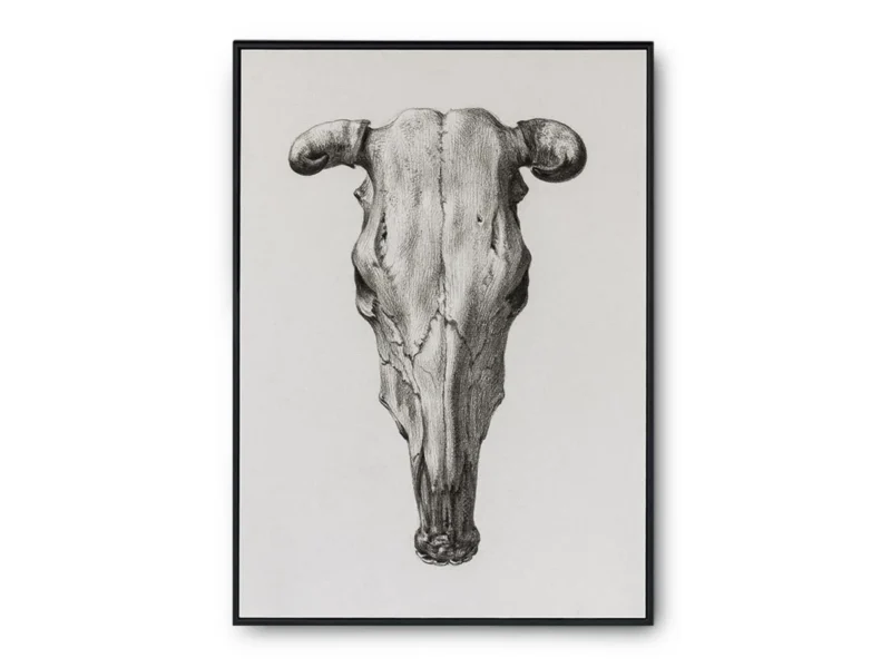 Arte Cráneo de Toro Minimalista