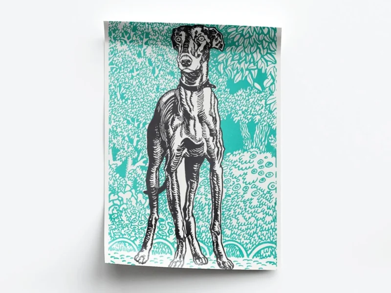 Arte Perro Galgo con Fondo Turquesa