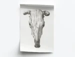 Arte Cráneo de Toro Minimalista