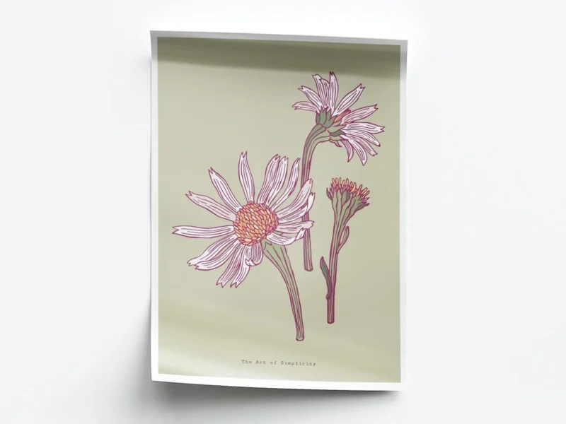 Arte Ilustración Margaritas Minimalistas con Fondo Verde