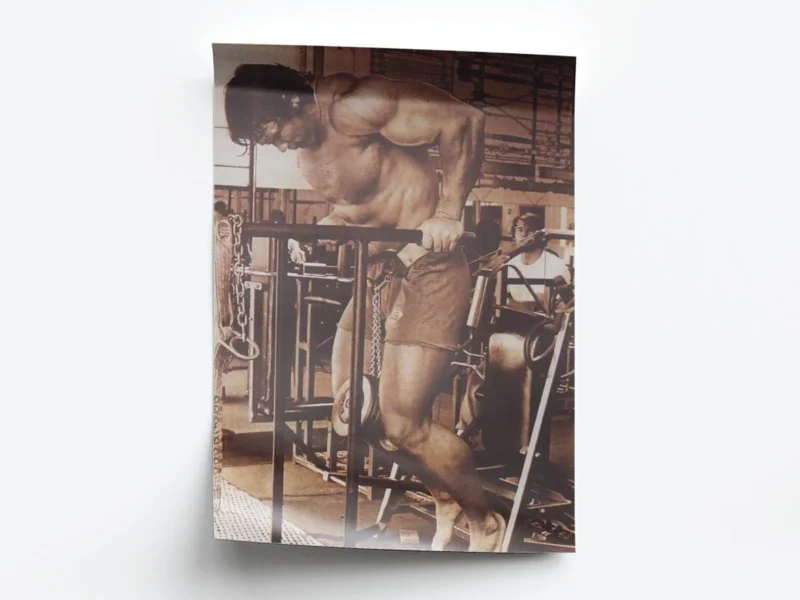 Poster Sepia Arnold Schwarzenegger Fondos en Paralelas