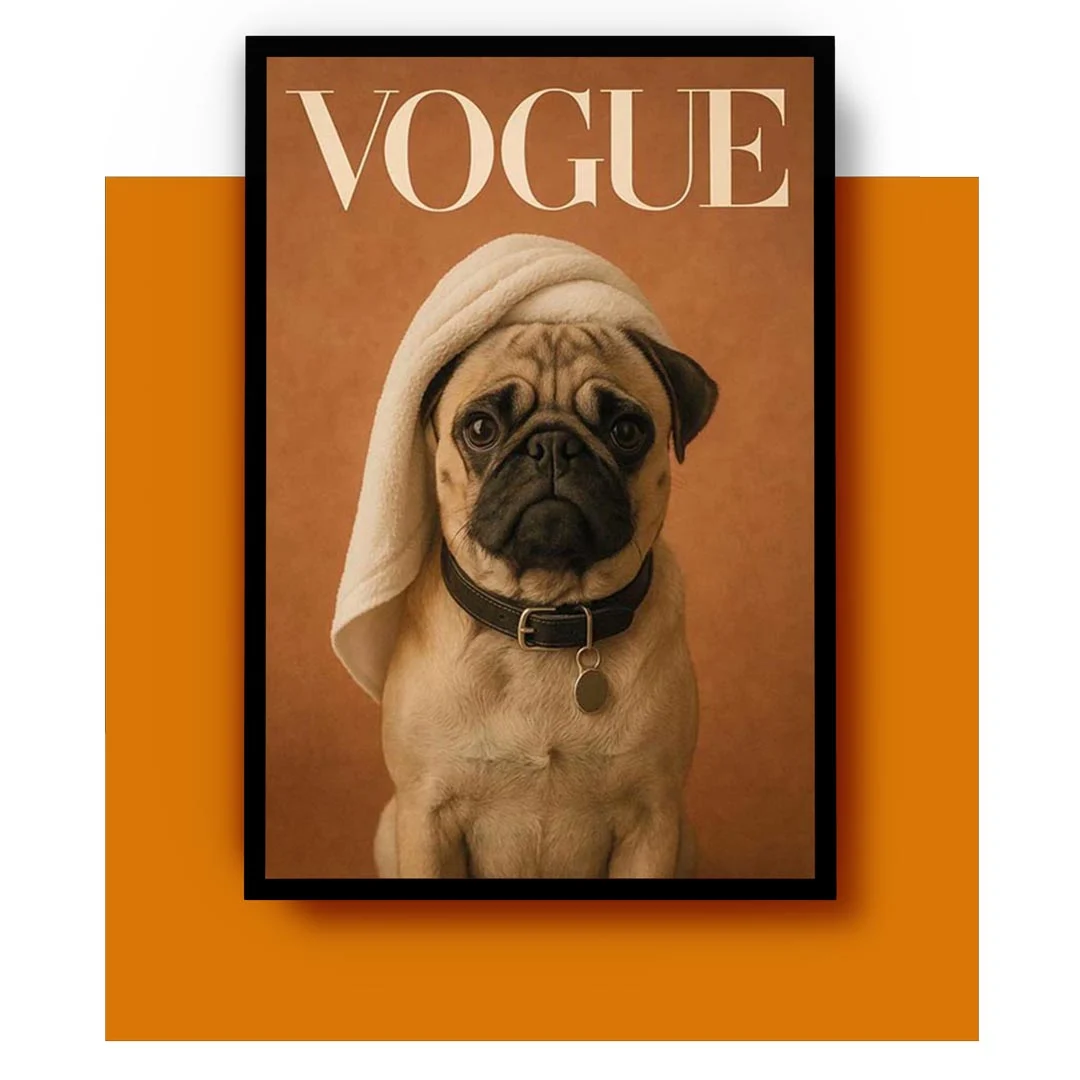 animales-categoria-portada